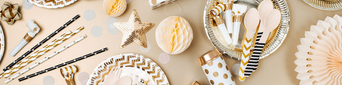Disposable Party Wear Page Header Image